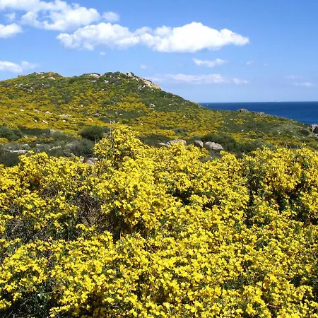 Сasa de vacaciones Ely's Flat *