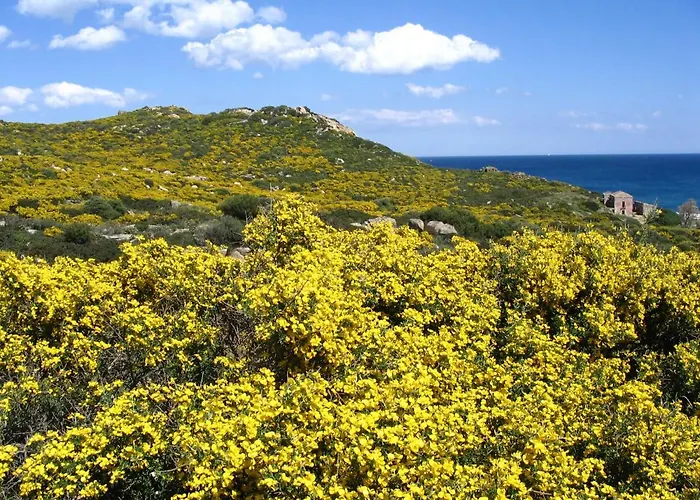 Сasa de vacaciones Ely's Flat *